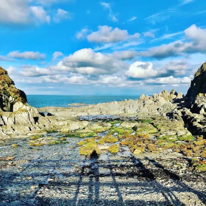 Paramount Ilfracombe, Arty Seaside * Ilfracombe