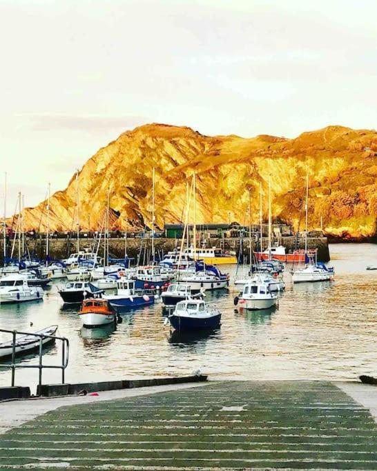 Paramount Ilfracombe, Arty Seaside