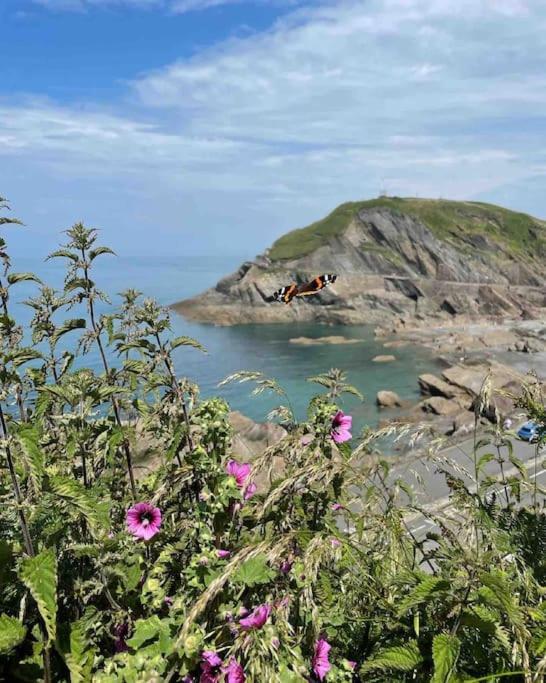 Apartment Paramount Ilfracombe, Arty Seaside Ilfracombe